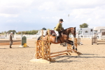SBM_07376