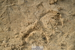 251004A-165408-02278