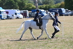 WJ6_7764