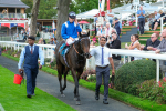 080925-Race 5-Elmonjed-9492