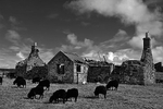 Paible, Island of North Uist, Outer Hebrides.