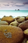 Porth Nanven