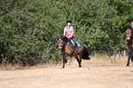 WJ6_8769