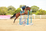 SBM_003785