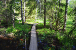 Nuuksio National Park, Uusimaa, Finland