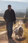 Dog Walker