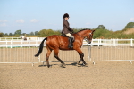 SBM_02233