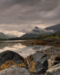 Landscapes portfolio