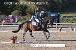 BPP_9331