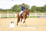 SBM_000995