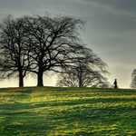 Hampstead Heath