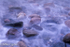 Stones in a Stream