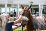 080624-Race 1-Rapido Girl-4564