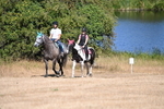 WJ6_8220