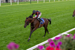 190826-Race 3-Maltese Cross-0346