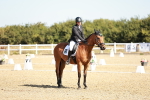 SBM_016988