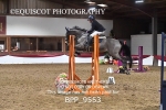 BPP_9553