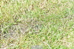 260630A-112138-05773