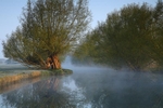 <center>On the Riverbank</center>