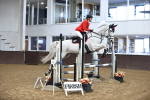 SBM_000237_Class 2 - Senior British Novice - 90cm Open