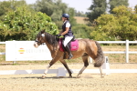 SBM_003960