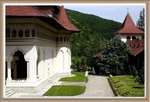 Transilvania Series 14