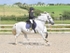 BPP_1477