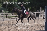 BPP_6919