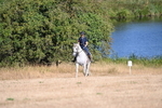 WJ6_7019