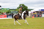 SBM_02674