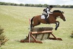 BVHT 140517  IXC -194