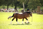 SBM_44354