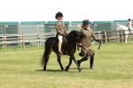 SBM_05253