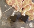 Whitby Jet Earrings je017