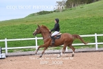 BPP_3008