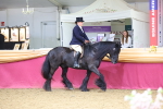 SBM_23623