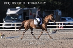 BPP_9208