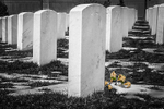 Arlington Memories