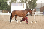 SBM_07746