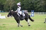 WJ6_0345