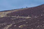 Black Combe-479