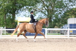 SBM_03446