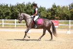 SBM_010373