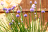 03Jun2013: Photo 154