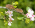 20150515-8E0A9927