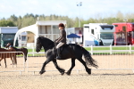 SBM_08939