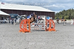 BPP_5492