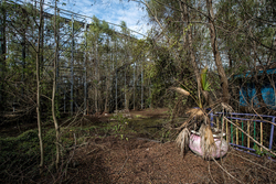 Abandoned Six Flags (New Orleans, LA) | Overgrown