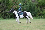 WJ7_3677