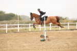 SBM_024147